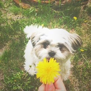 Meet your Posher, Jaidan